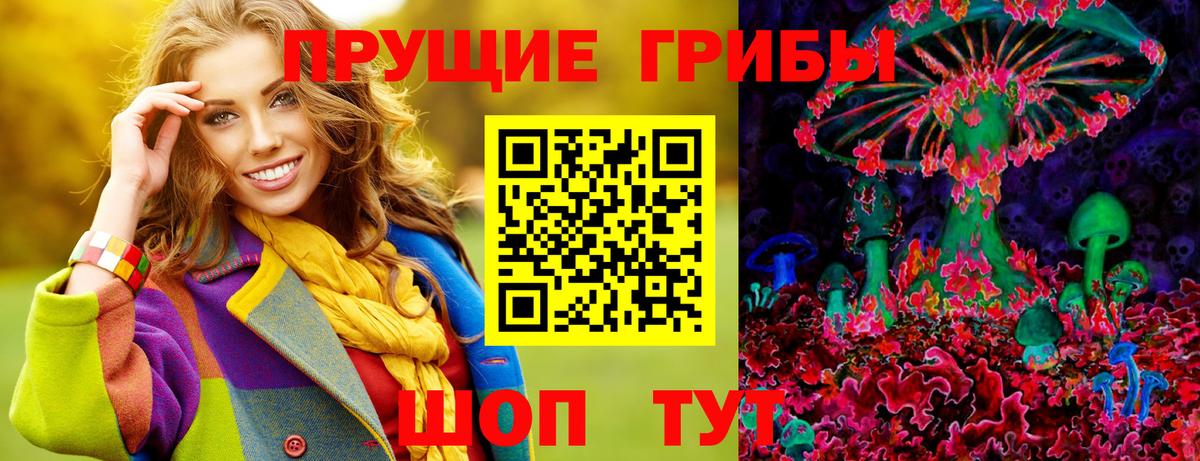 Галлюциногенные грибы Psilocybine cubensis  Вход с VPN  Сосновоборск 